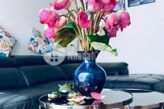 Nhà đẹp ở ngay ngã tư phú nhuận phan đình phùng