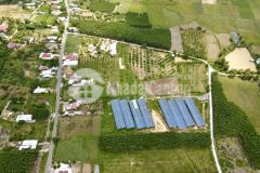 Bán lô đất vườn đang trồng keo 4 năm tuổi tại diên tân diên khánh. đường 8m.