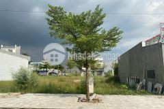 Bán lô nhà phố 105m2 view hồ sinh thái, đường rộng, không gian thoáng mát, sổ riêng