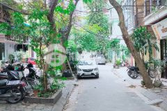 Phân lô nguyên hồng, 44m25t, ngõ thông, oto chạy vòng quanh,tấp nập, 10.5 tỷ, 0703451750.