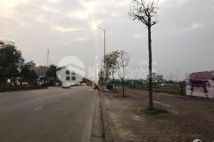 Bán đất tmdv 4000m2 ở tp hải dương