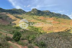 Thế đất đẹp nhất mộc châu có suối làm nghỉ dưỡng hay farm