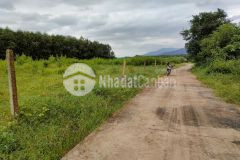 Đất diên đồng giá rẻ làm vườn đường oto