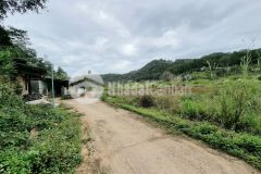 D1073 cần bán lô đất nông nghiệp chân đèo mimosa tp đà lạt.