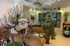 Nhà đẹp tây hồ đón tết ô tô đỗ cổng 5 tầng giá 3,05 tỷ