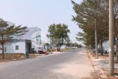 Bán đất bình chánh mt trần văn giàu 6x19m sổ hồng xây dựng tự do 17trm2