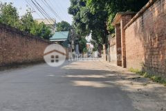 Bán đất xóm đan tảo, tân minh, sóc sơn, gần da trường đua ngựa,dt 316m, 7.1 triệum2.