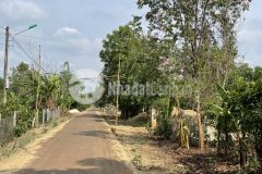 Bán đất giá đầu tư buôn tang ju xã eakao tp buôn ma thuột chỉ với 690 triệu