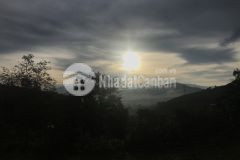 Em muốn nhượng lại mảnh đất hữu cơ gần sát đồi trái tim