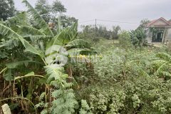 Cần bán lô đất mặt tiền đường xuyên á, hạ vũ, gio quang, gio linh