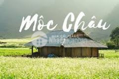 Cần bán mảnh đất 1ha tại bản muống, khu du lịch quốc gia mộc châu