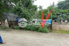 Cần bán 1 lô đất hoa hậu tại hợp châu với giá cực sốc.