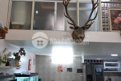 Bán nhà đường âu cơ, tây hồ, 43m2x3t, mt 5.7m, 3.5 tỷ. 20m ra mặt phố, an sinh đỉnh.