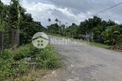 D742 bán đất giá đầu tư ngay ủy ban xã draysap huyện krong ana chỉ với 375 triệu