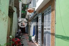 Hót hót ở ngay đón tết