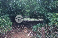 Bán 1.619m2 đất vườn khu vực đường trung an củ chi. sđcc, 6.2 tỷ. lh0339999465