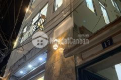 Bán gấp lô góc 4 mặt thoáng, mới đẹp như hoa hậu, chỉ với 5.85 tỷ.