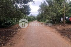 D743 bán đất hẽm cấp 1 mặt tiền buôn tăngju xã eakao giá 700 triệu đồng