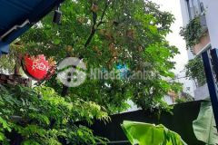 Dành cho nhà đầu tư,q10,điện biên phủ 146m2,giá 22.5 tỷ