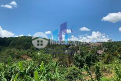 Bán đất xã xuân thọ tp. đà lạt. diện tích 2000 m² giá bán 13 tỷ