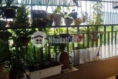 Bán nhà chung cư ở lò đúc,hbt dt 119m tầng 5 giá 5,35 tỷ.