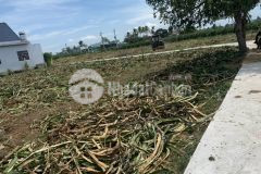 Bán 120m2 đất phan thiết, bình thuận, sổ chung, chỉ 300 triệu. lh0916637356