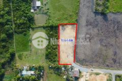 Đất biệt thự vườn q.9 tp. thủ đức 11 triệum2