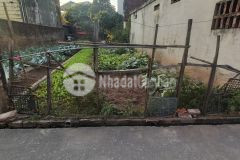 Đất song phương cách tl 422 500m. giá 22trm2. full thổ, nở hậu.lh 094 1617 318