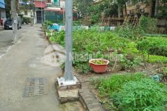 Bán gấp lô đất cực hiếm thụy phương bắc từ liêm, 215m2, mt 15m, ô tô tránh, giá 61trm2, 0836646314.