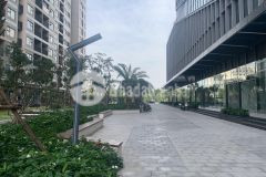 Bán shophouse vip tầng chân đế toà nhà techno park vinhomes ocean park dt 50m2