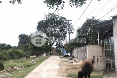 Nhà đất bán tại quảng trị, đất nền giá rẻ phú hậu, cam an,.liên hệ 0846661456