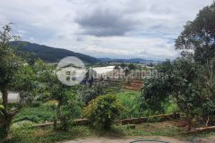 Cần bán 6 mảnh đất 2000 3000m2 tại xã tà nung, tp.đà lạt. giá chỉ 3trm2. lh0388881468