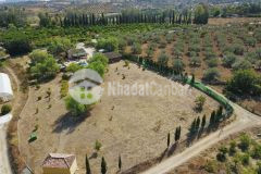 6736m2 đất hồng thái gần đường quy hoạch, nằm trong kdc canh tác giá đầu tư chỉ 640 triệu