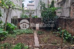 Siêu hot siêu rẻ phố trạm long biên 40m2 đất mt4.5m ngõ nông 10m ô tô chỉ 1.75 tỷ.