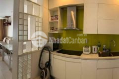 Cho thuê căn hộ shp cực đẹp ạ