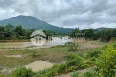 Nhà vườn diên xuân view sông chò