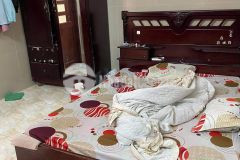 Nhà chính chủ hẻm xe hơi đường nguyễn thế truyện, 4x17, 4 phòng ngủ, 6.4 tỷ