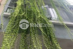 Bán nhà 1t3l st, tại 12 hoà hảo, p5 q10, pháp lí sạch 7.7 tỷ. lh0935825588