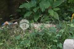 Hiếm nhất phố trạm long biên siêu rẻ 38m2 đất mt4.3m ngõ nông 10m ô tô hơn 1 tỷ.