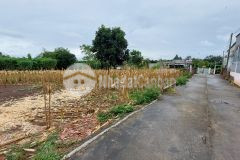 D758 bán lô đất siêu đẹp hẻm quốc lộ 14 giá đầu tư