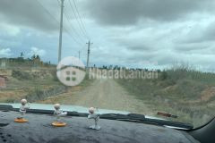 6736m2 đất hồng thái cây lâu năm, nằm trong kdc canh tác giá đầu tư chỉ 640 triệu