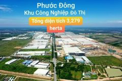 Giá sốc, chỉ có 1 miếng duy nhất dành cho nhà siêu đầu tư