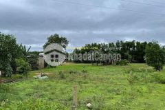 Cần bán lô đất lâm lang 3, cam lộ, quảng trị.