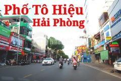 Nhà mặt đường tô hiệu khổ đất cực vuông vắn vị trí đẹp