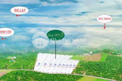 Ban gâp lô đât tân văn lâm ha ven đa lat,dt 1000 m2,gia chi 850 triêu