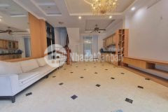 Bán gấp nhà phố vương thừa vũ, nhà đẹp, phân lô, ô tô vào nhà, 52m2, 5 tầng, mt 5.8m