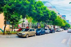 Nhà phân lô, kd nhộn nhịp, oto tránh, vỉa hè rộng, phạm tuấn tài, dt 65m2 x mt 5m, 15.5 tỷ