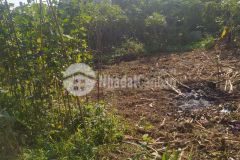 Bán gấp đất lương sơn, hòa bình 720m2, giá 2,8 tỷ