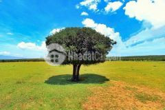 Một nền ven biển bình thuận duy nhất giá chỉ 85km2. liên hệ hoặc add 0919 626 750thảo