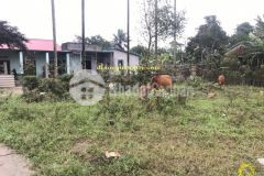 Mua bán nhà đất quảng trị giá rẻ, đất đẹp triệu thành, triệu phong quảng trị 0941076225